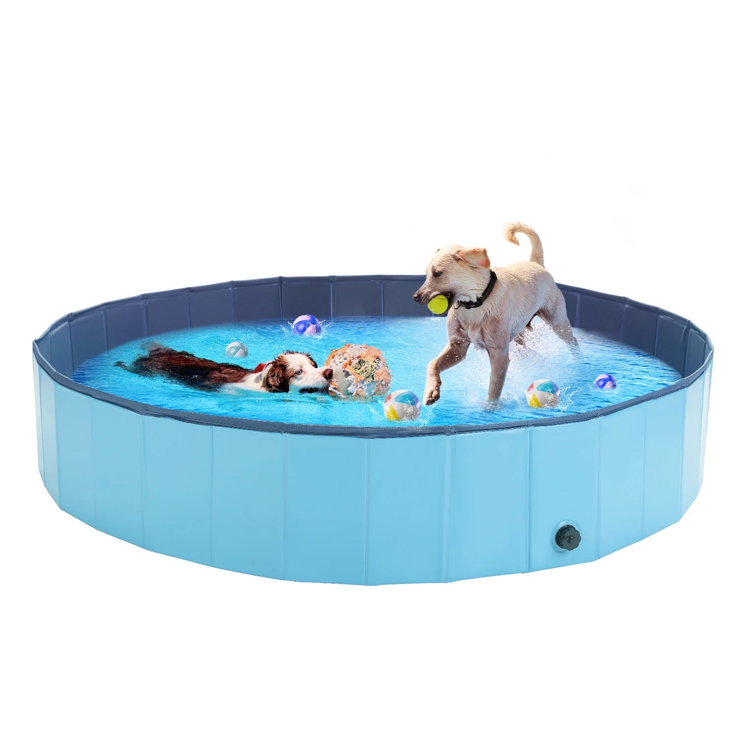 Air Pet Pool for Dogs & Cats – Cool Off Your Pet This Summer