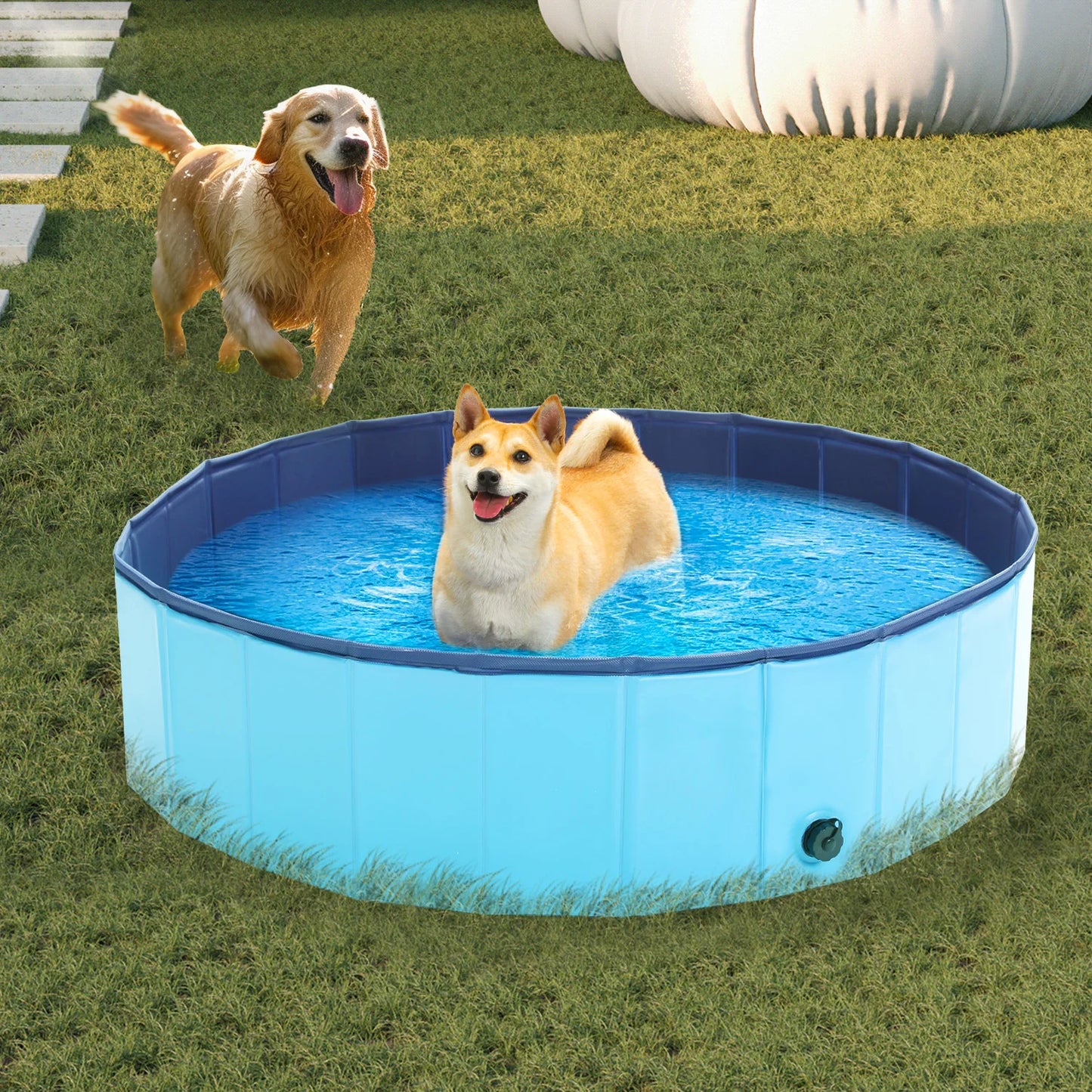 Air Pet Pool for Dogs & Cats – Cool Off Your Pet This Summer